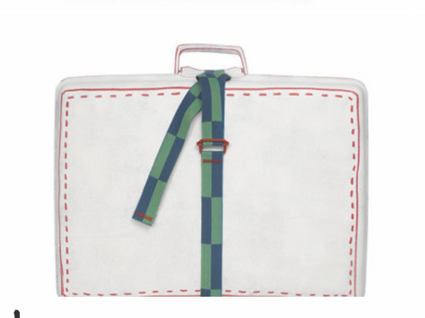 Ceinture de valise sur valise bleue et verte.png