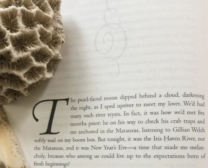 The Problem with Murmur Lee