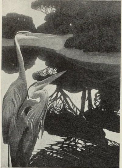 Love Herons-1.jpg