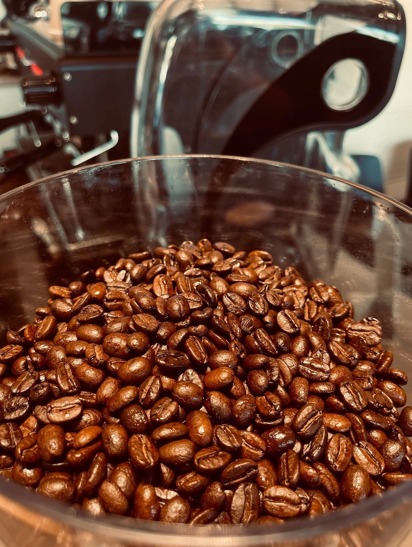 Freshly grounded Arabica coffee beans.
#Meccafe #lebanon #Coffeshop 
#CoffeeVibes #DailyBrew #ButFirstCoffee 
#CafeCorner #LatteArtLove #CoffeeTime #BrewMood #EspressoYourself #CaffeineFix 
#CoffeeWithFriends #SipAndRelax#MorningBrew #cupofhappiness☕