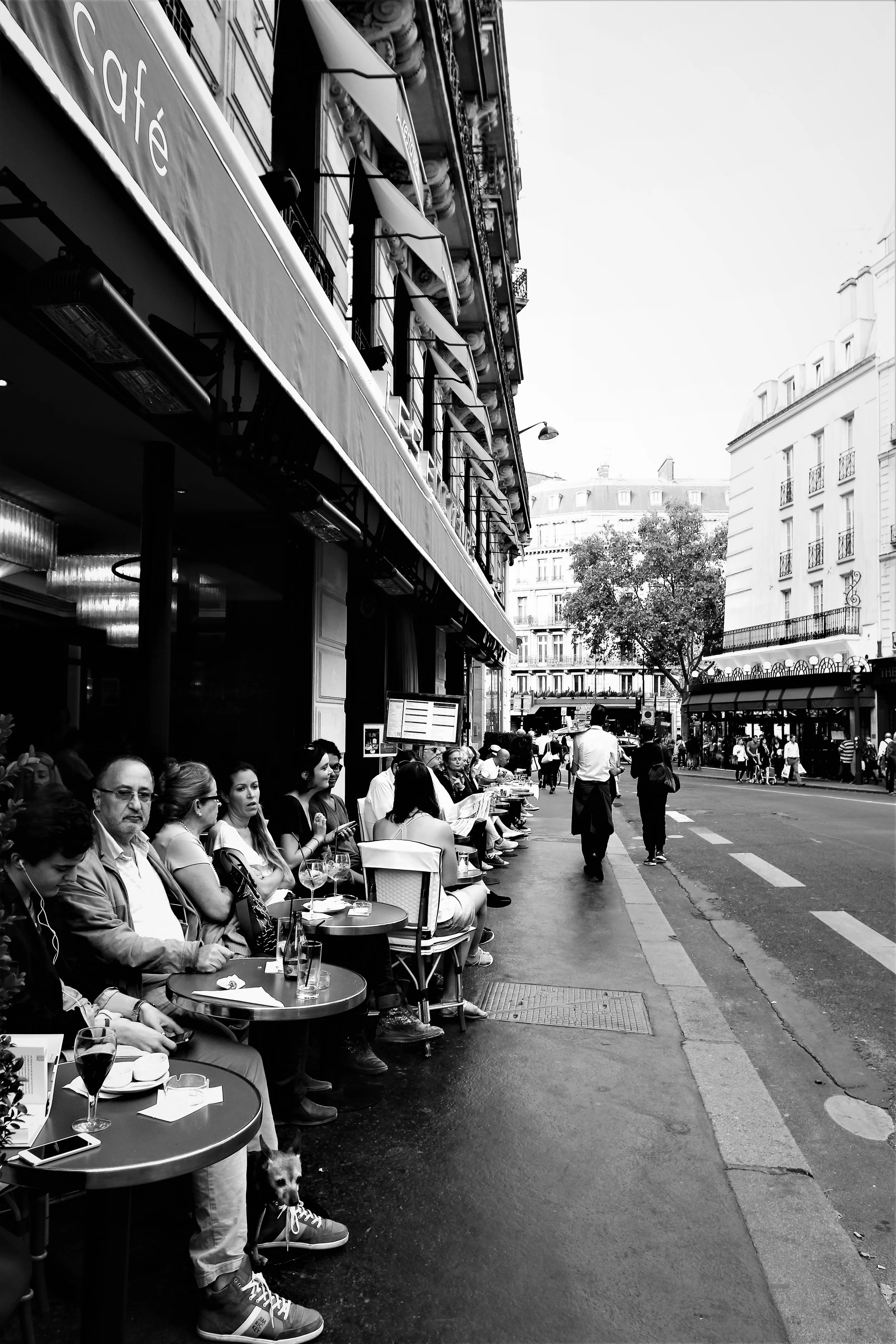 holistic view — cities are all-consuming