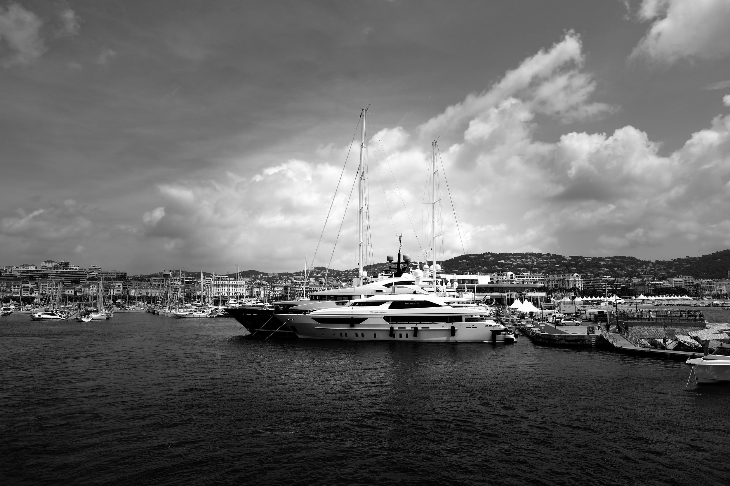 Whitnee Shulman_cannes-3.jpg