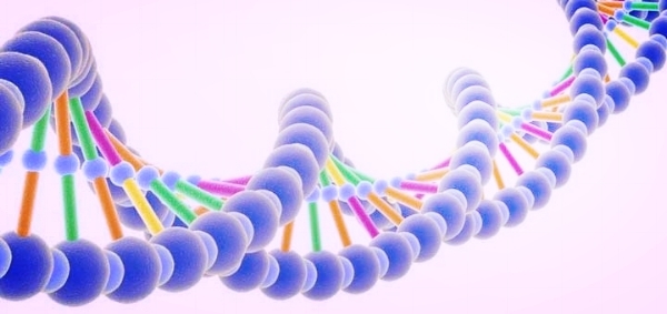dna.jpg