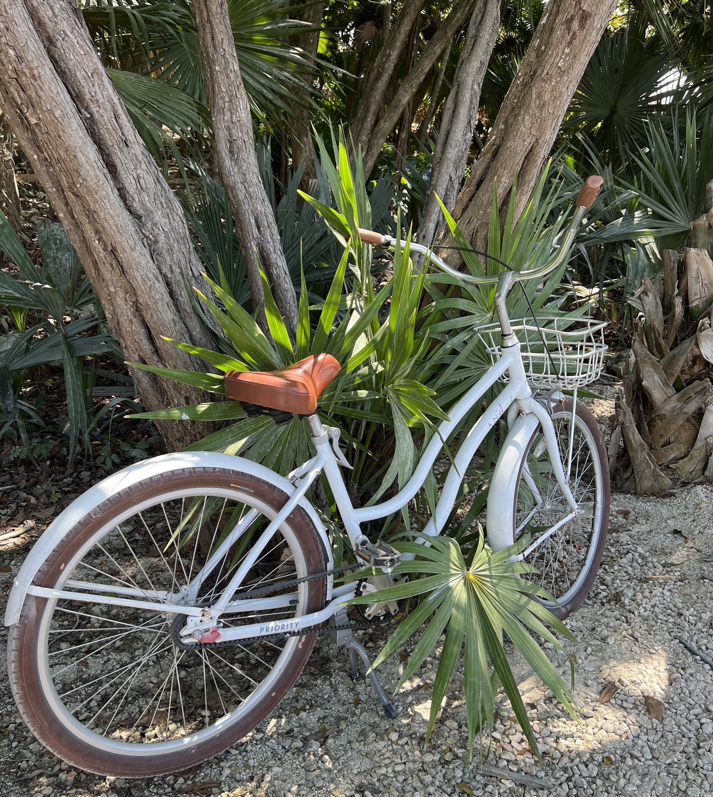 tropicbikeaim.jpeg