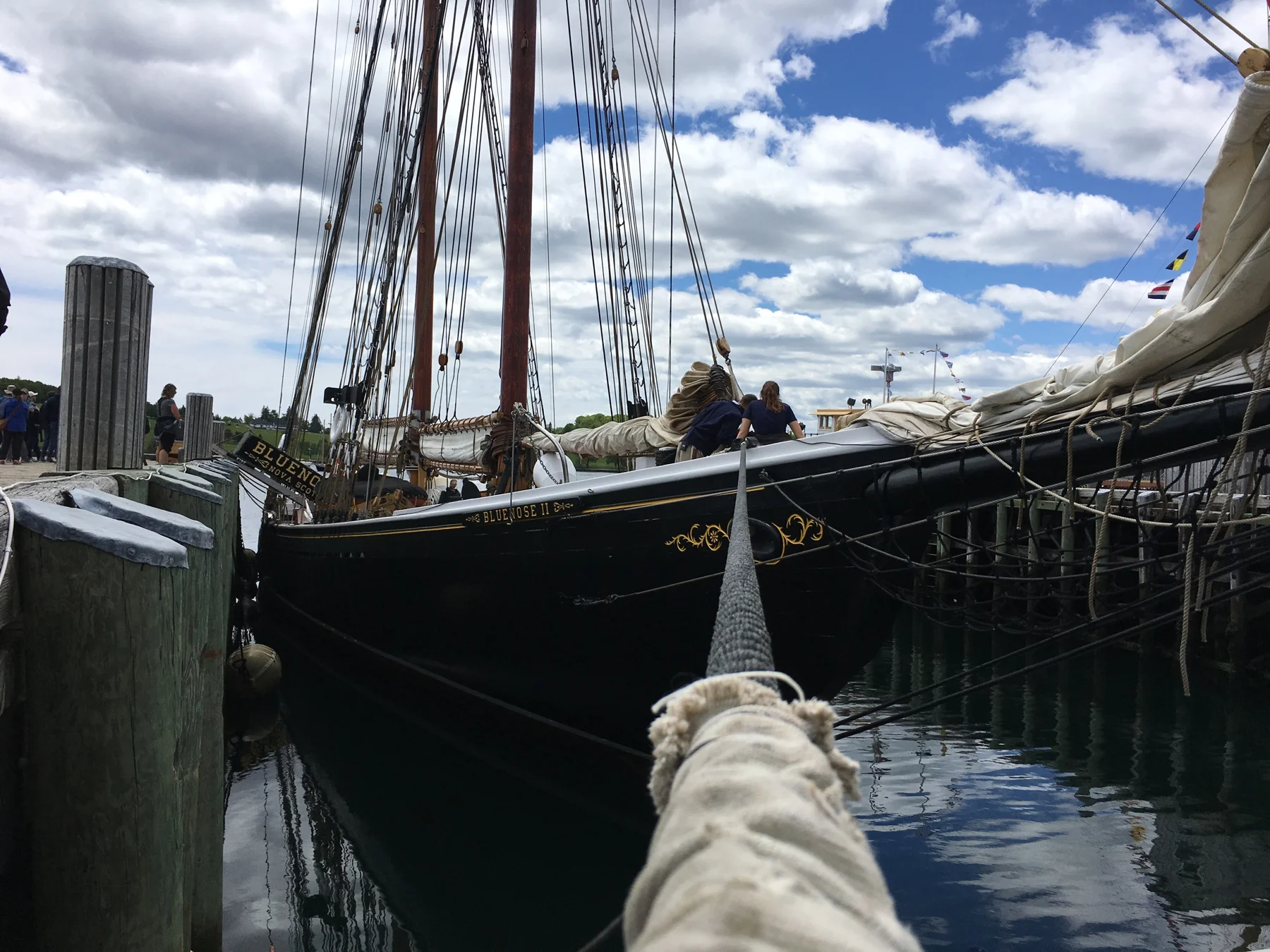 bluenose.JPG