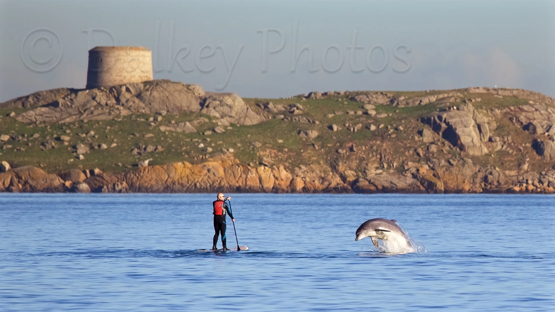 Dolphin and Paddleboarder B965.jpg