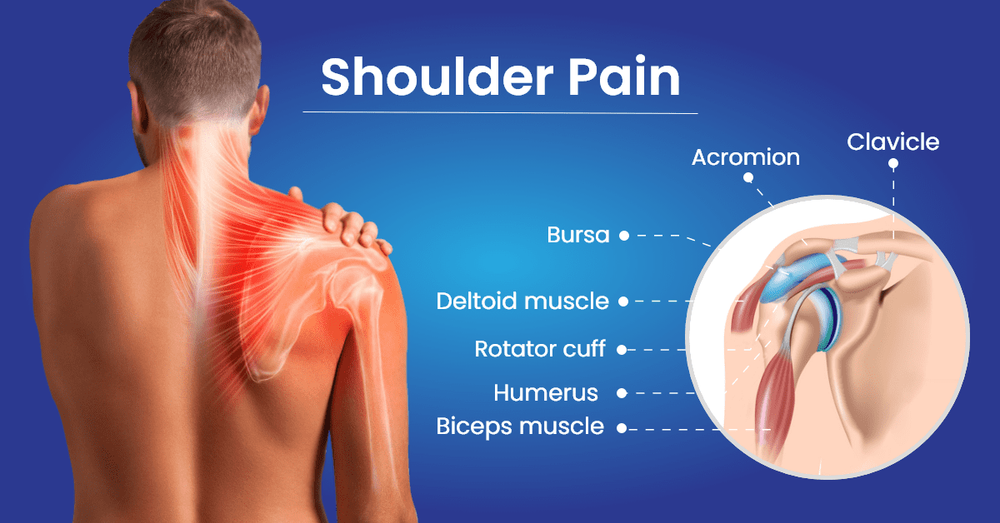 Comprehensive Shoulder Pain Treatment at Optimal Wellness Center in ...