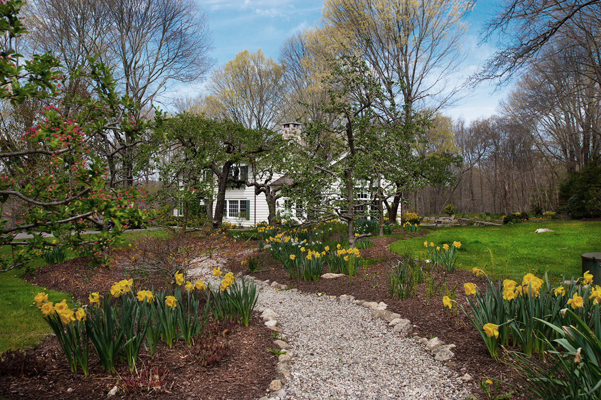 Apple Tree Garden
