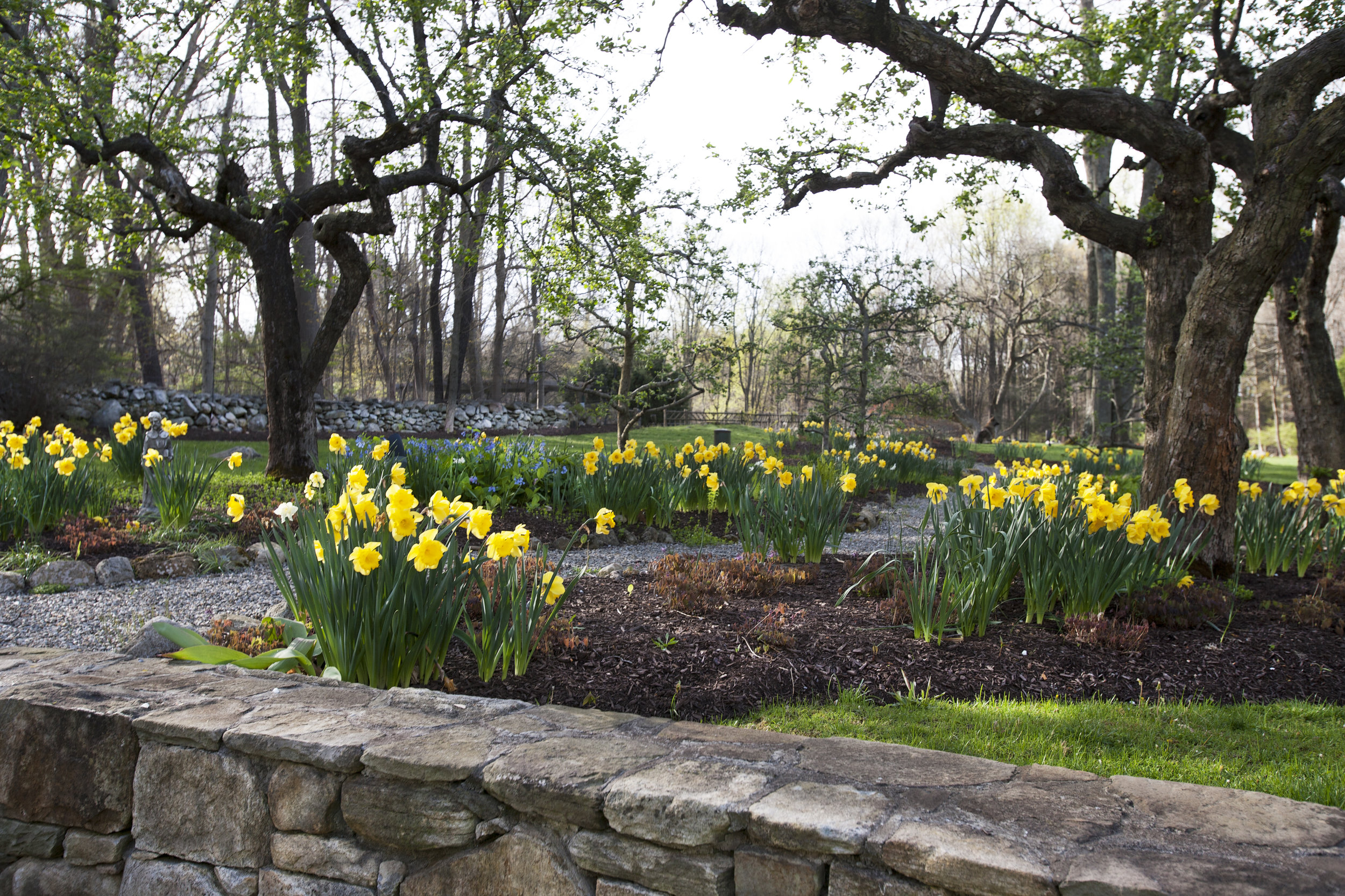 Rock walls with expert landscape design.