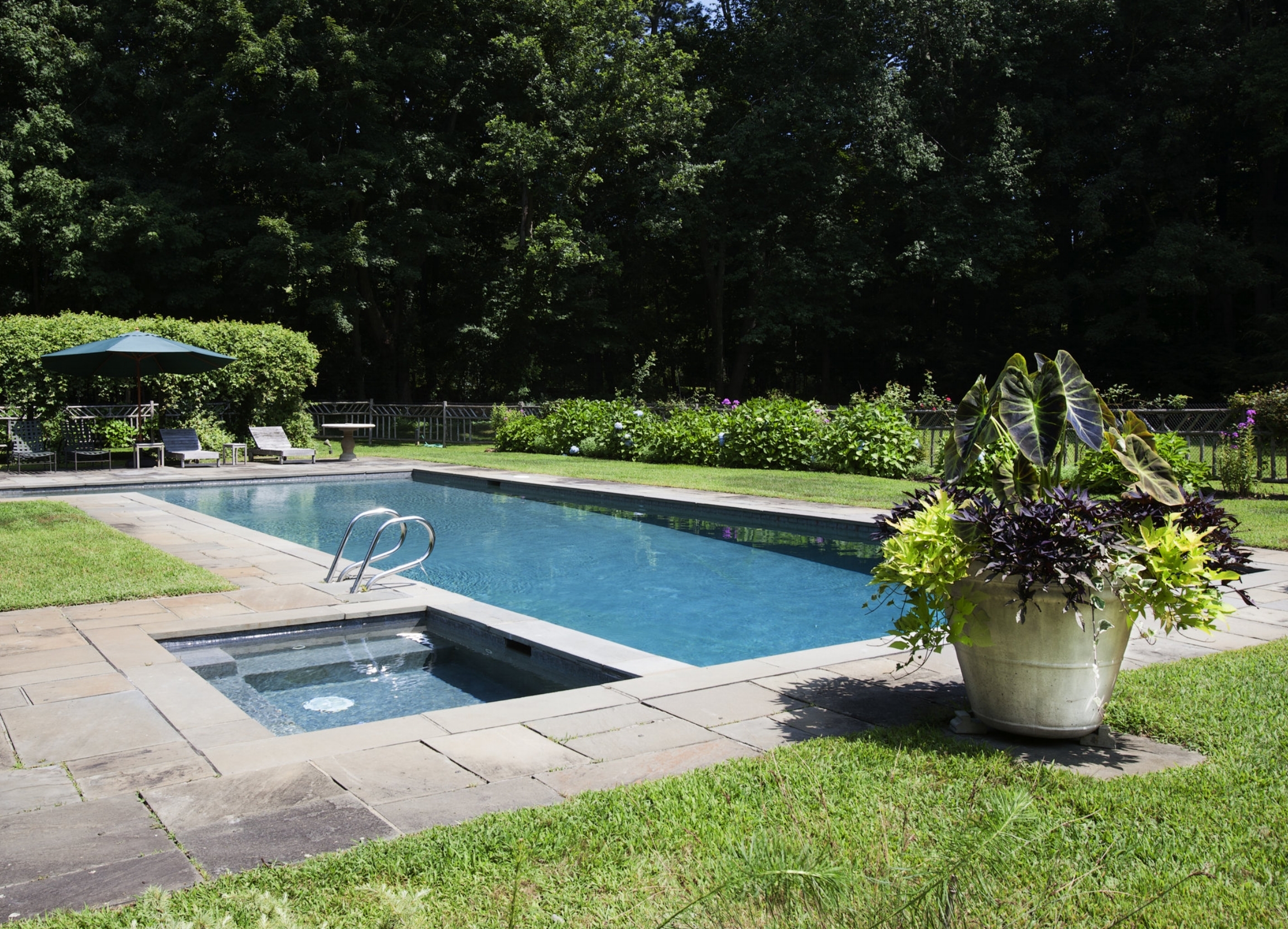 : Landscape and garden design around pool in backyard.