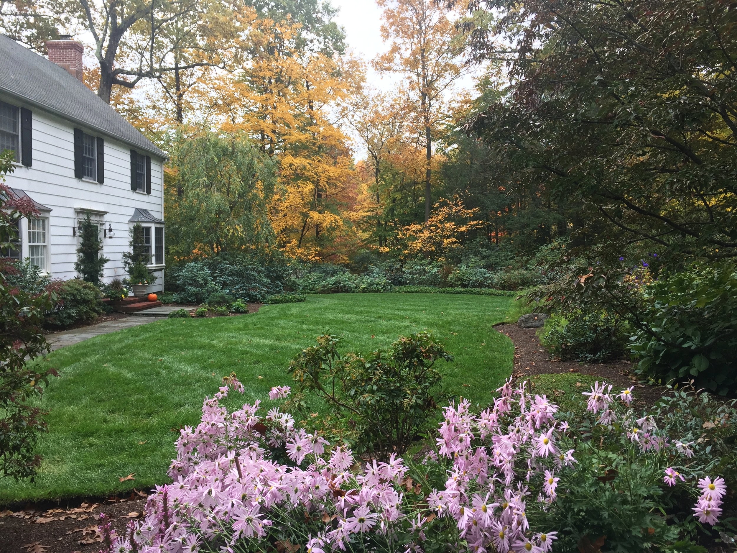 Side yard landscape design.