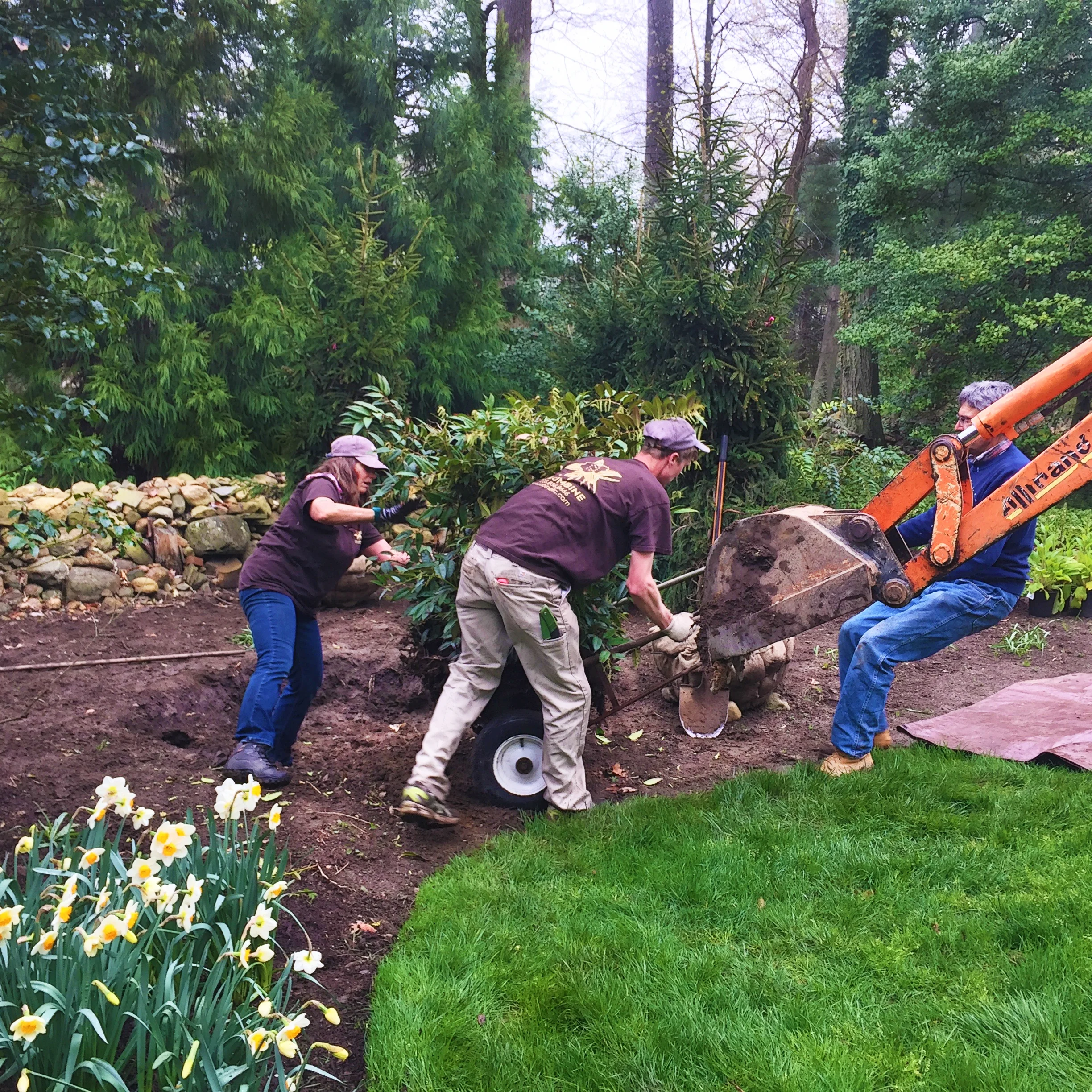 Landscape professionals in garden with flowers.
