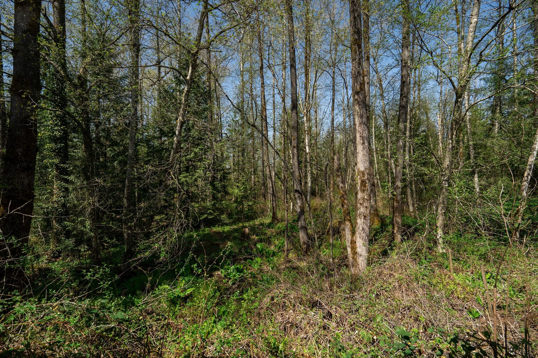 2584560Ave-32.jpg