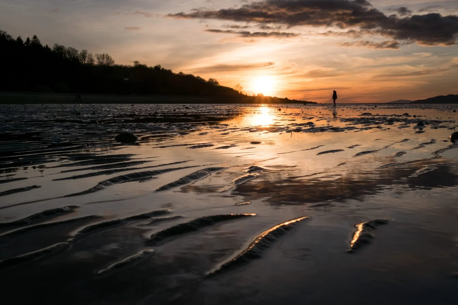 kitsilano-1-web.jpg