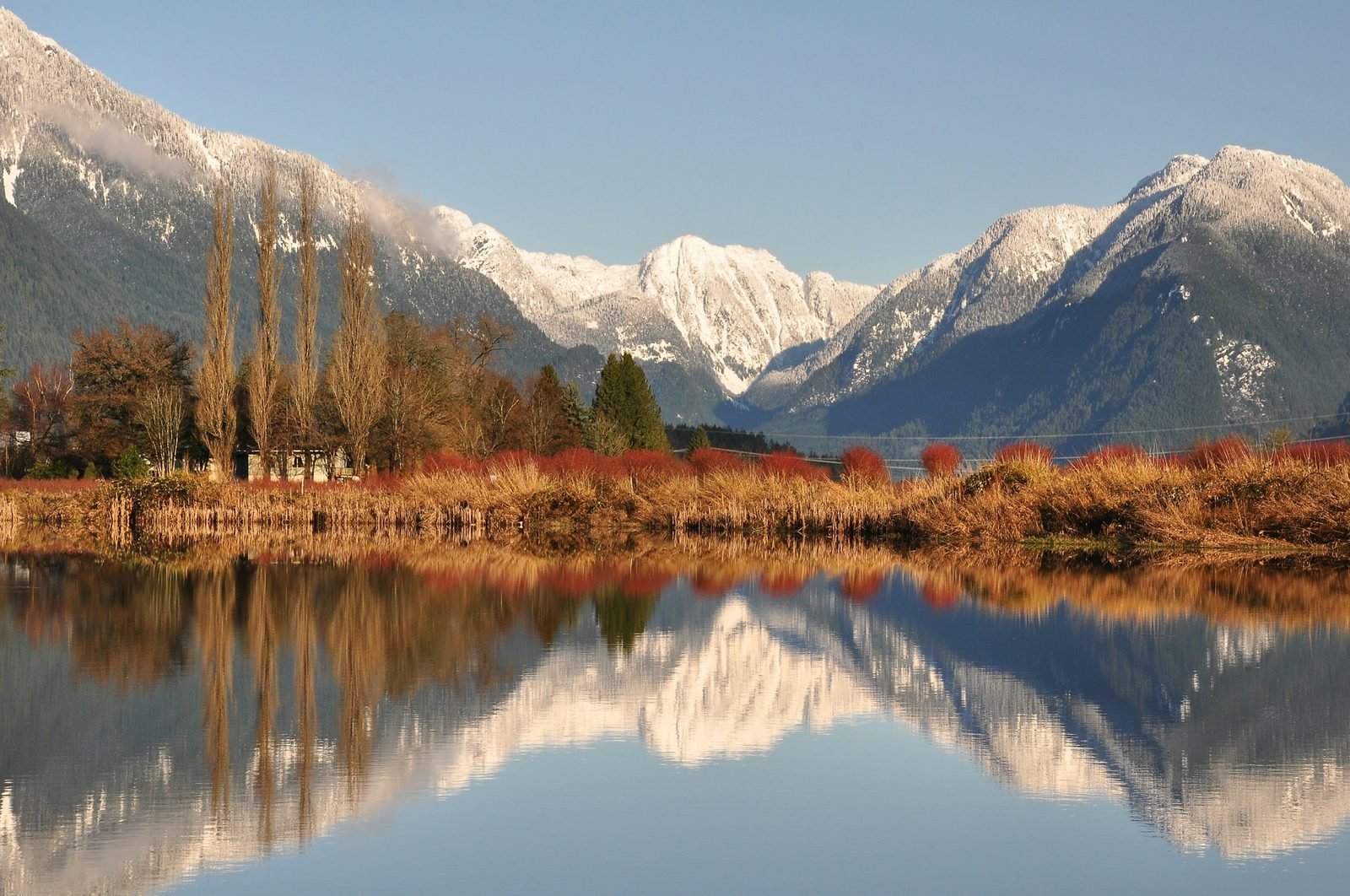 pitt-meadows-1-web.jpg