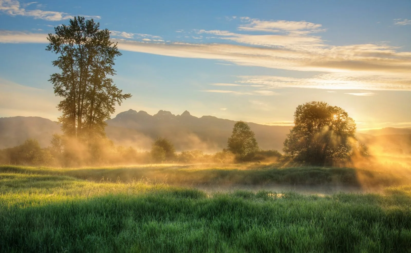 maple-ridge-1-web.jpg