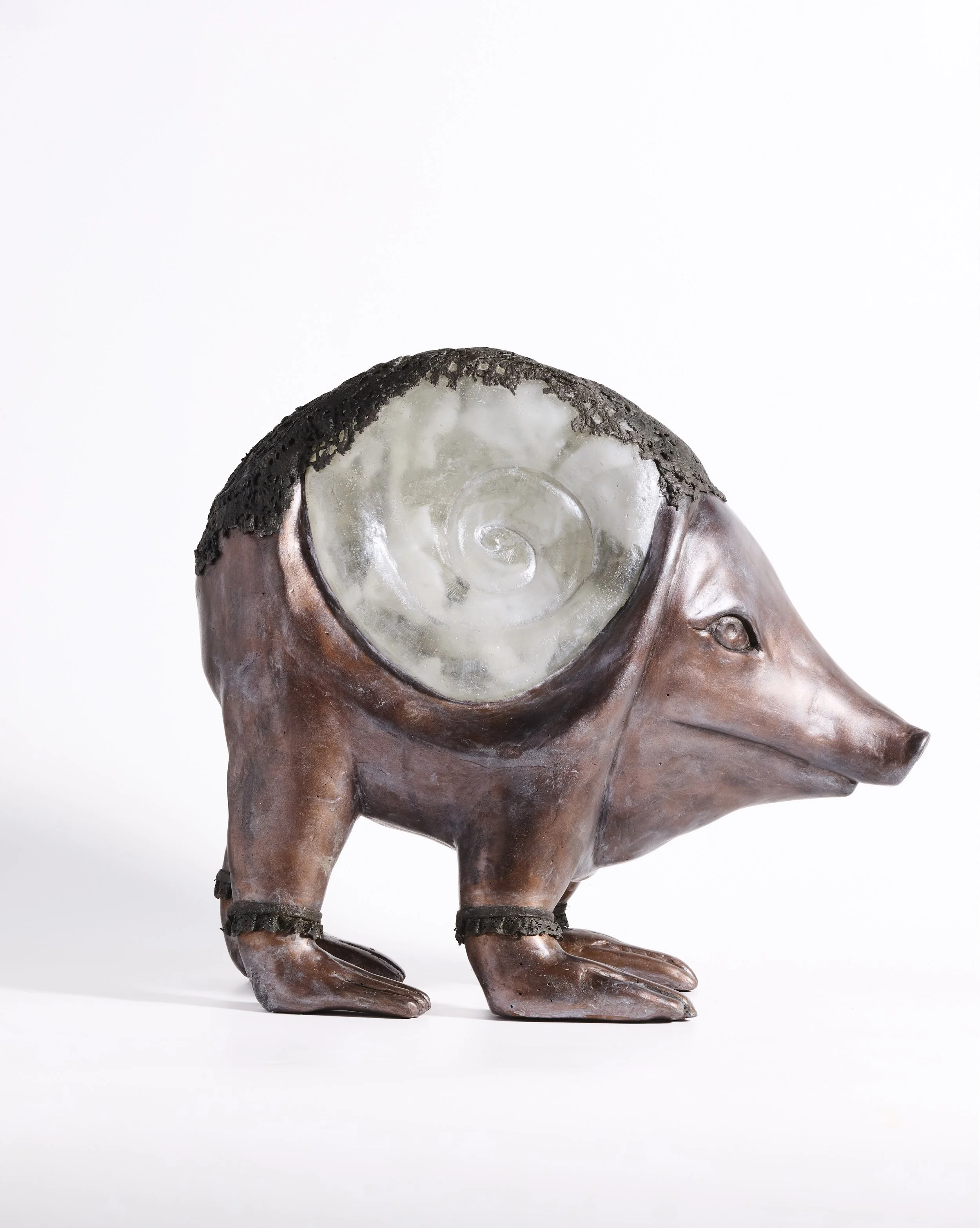 Dream Pig 6.jpeg