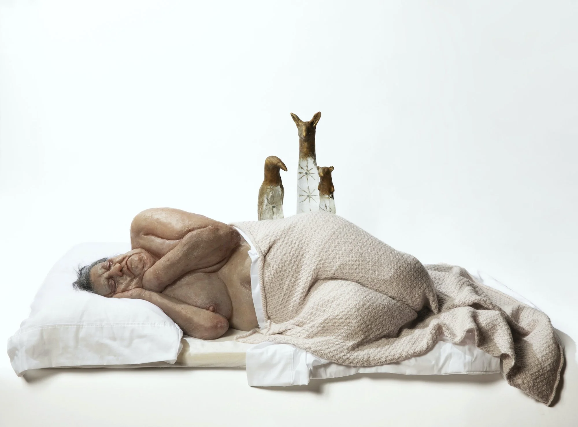 1. Dawn’s Visitors.jpg