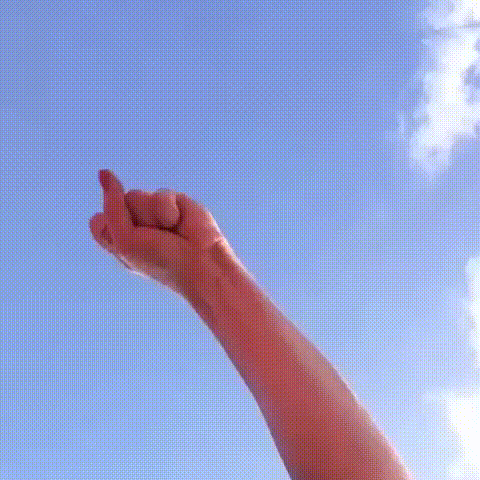 Anita Sto planescatcher7.gif
