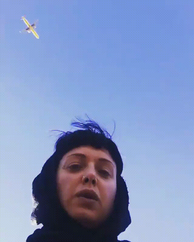 Anita Sto planescatcher34.gif