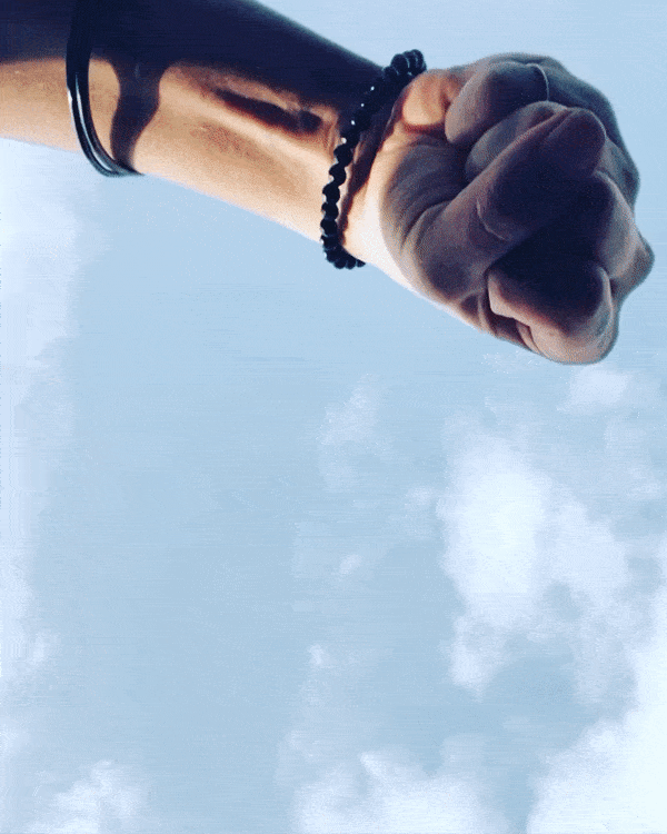 Anita Sto planescatcher148.gif