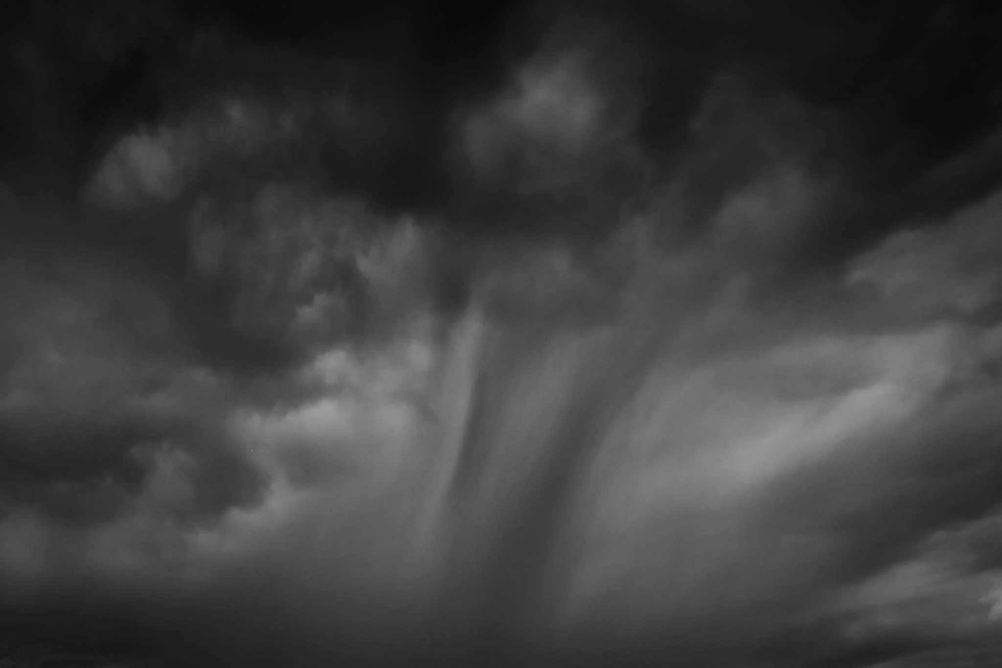 15942665_10154481314442982_2076495202_o (1).jpg