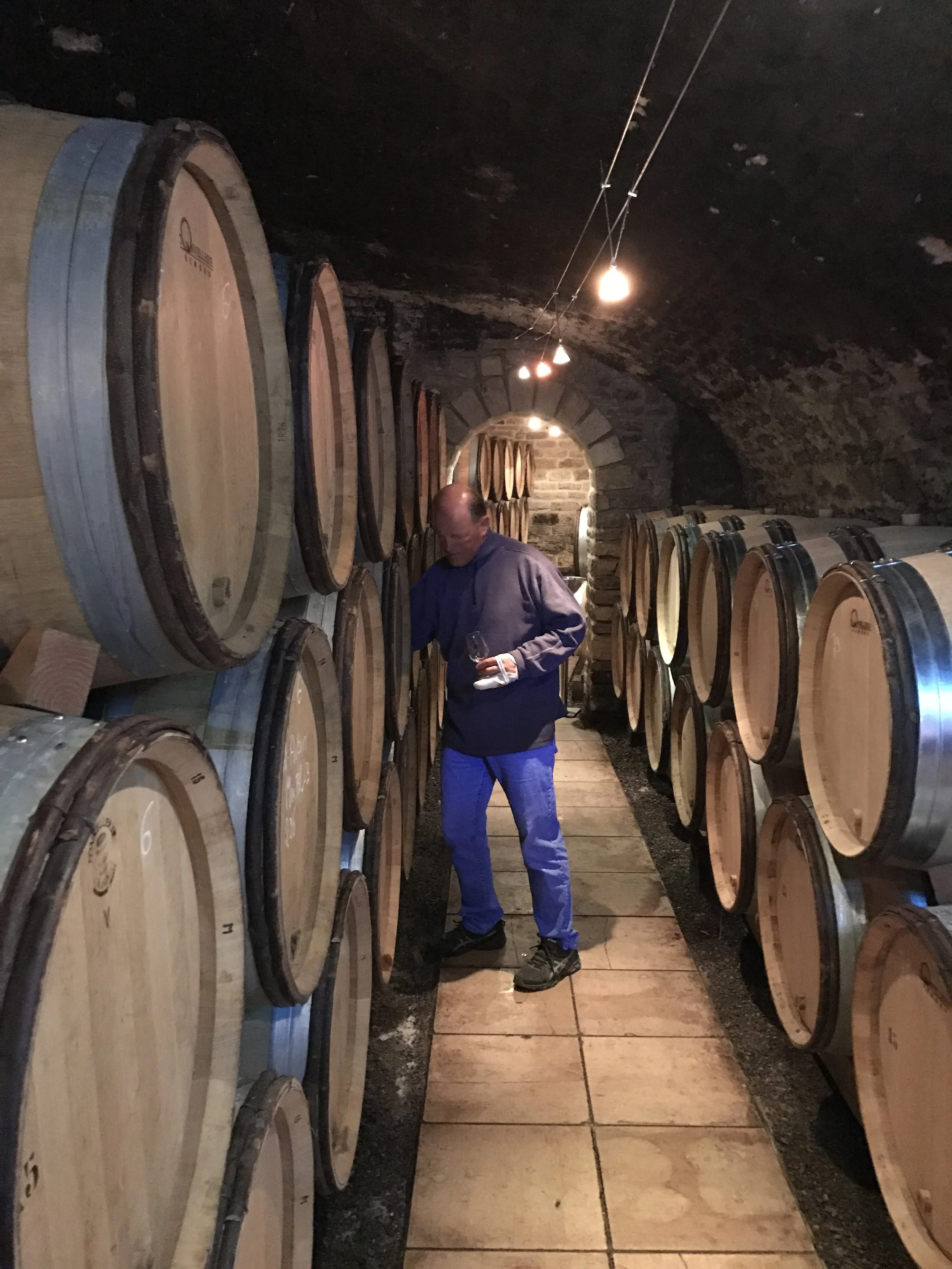 Sylvain Langoreau - Cellar Winemaker.JPG