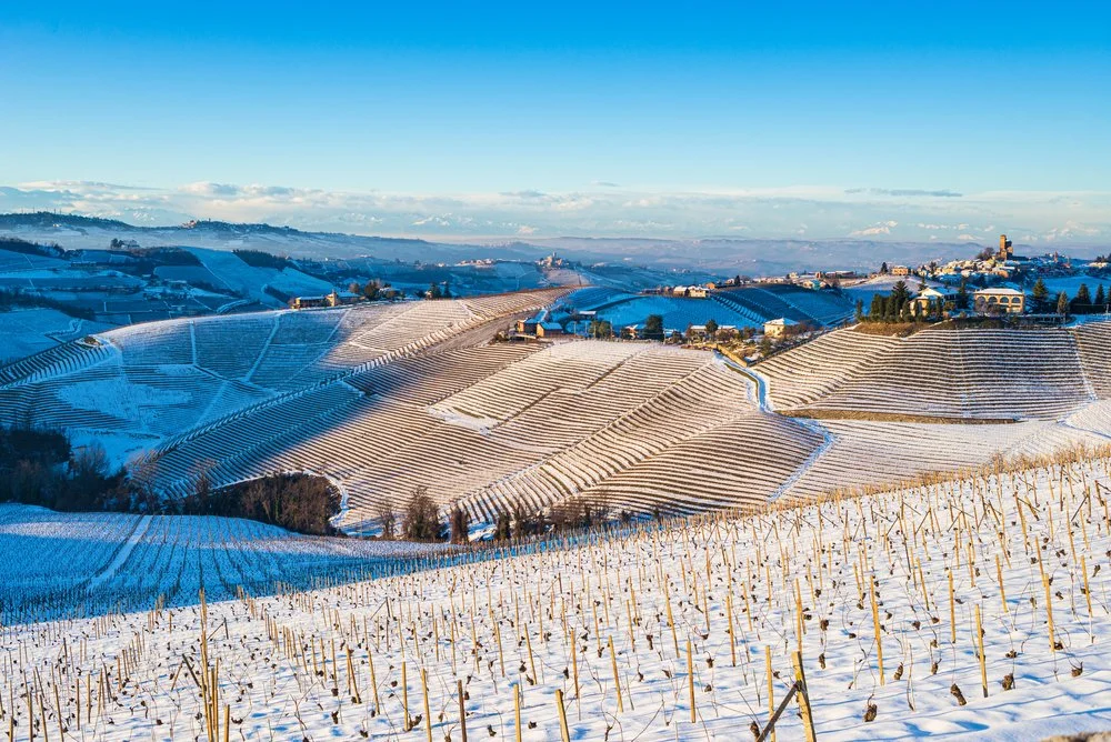 Winter in Barolo.jpg