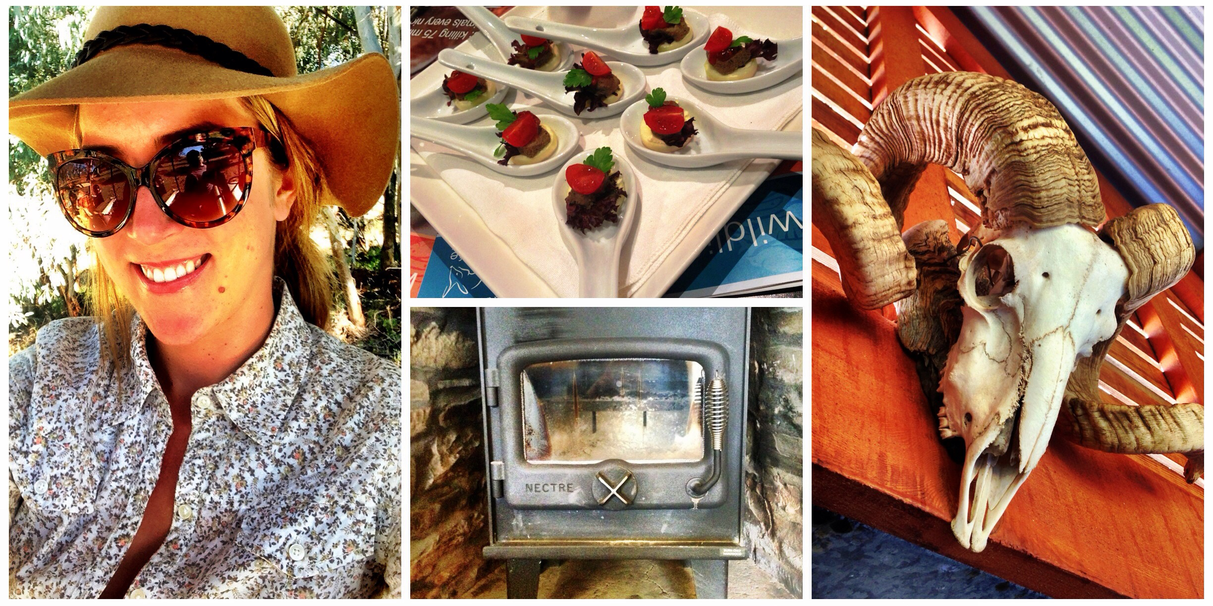 Exploring Australia's Wild Side 