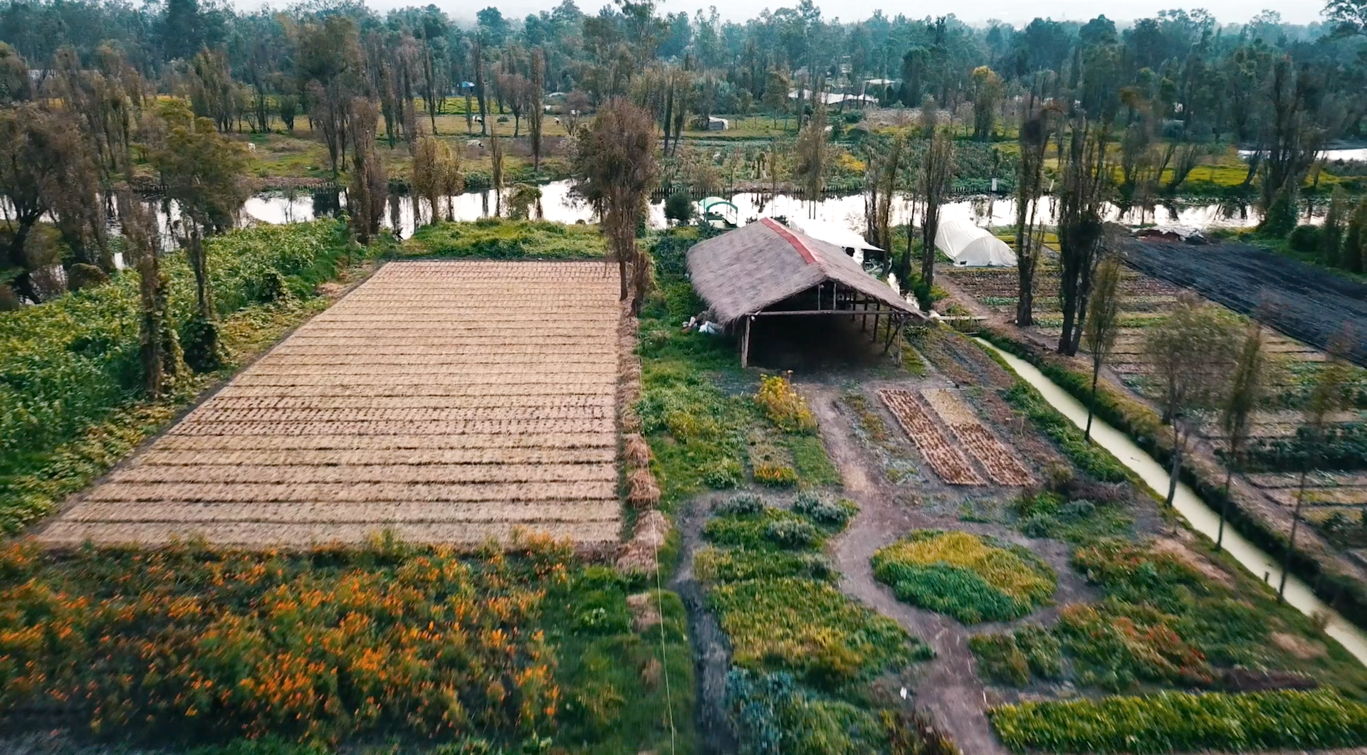 Meet the Nonprofit Reviving Ancient, Nearly-Extinct Farming Traditions in Mexico City