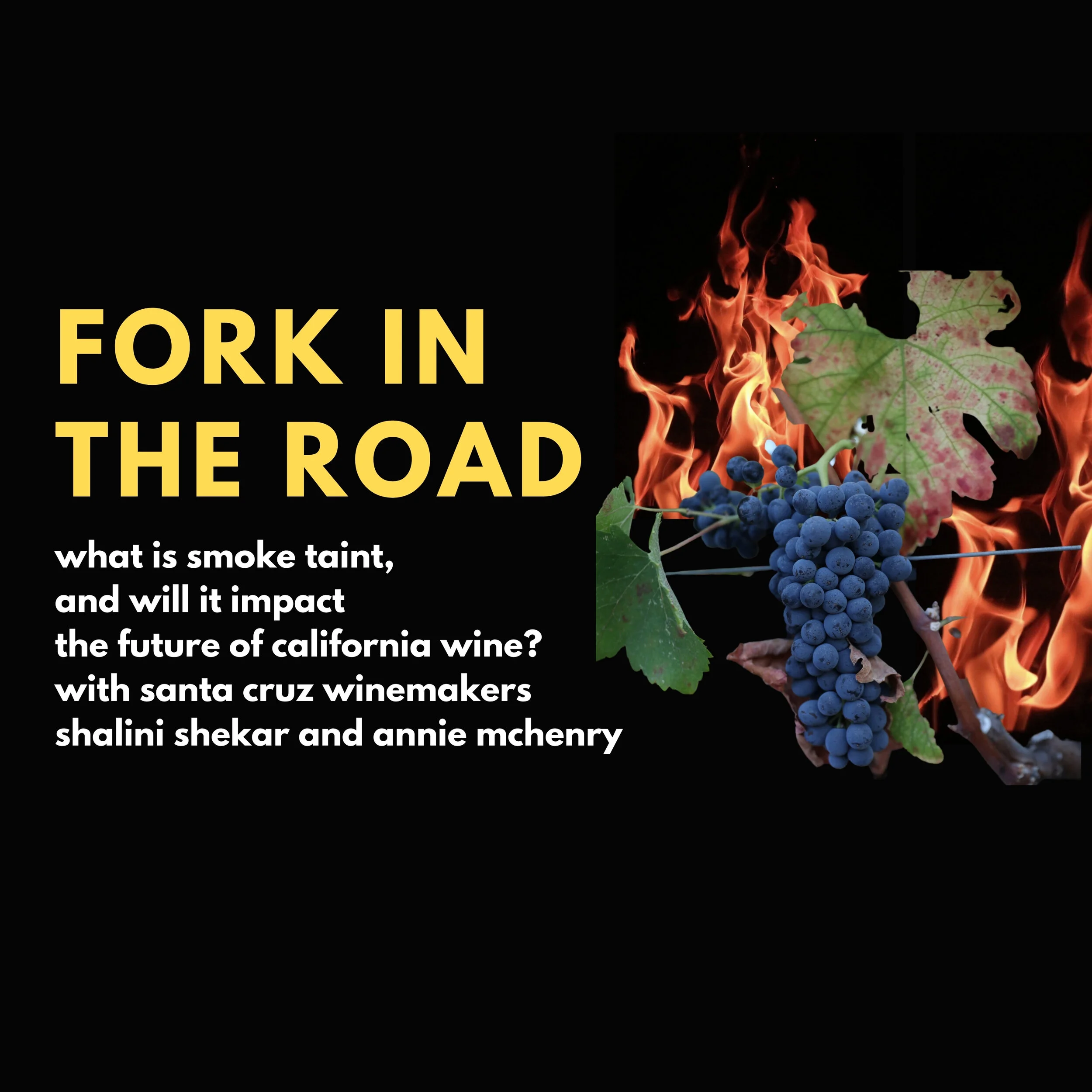 What is Smoke Taint, and How Will it Impact the Future of California Wine?
