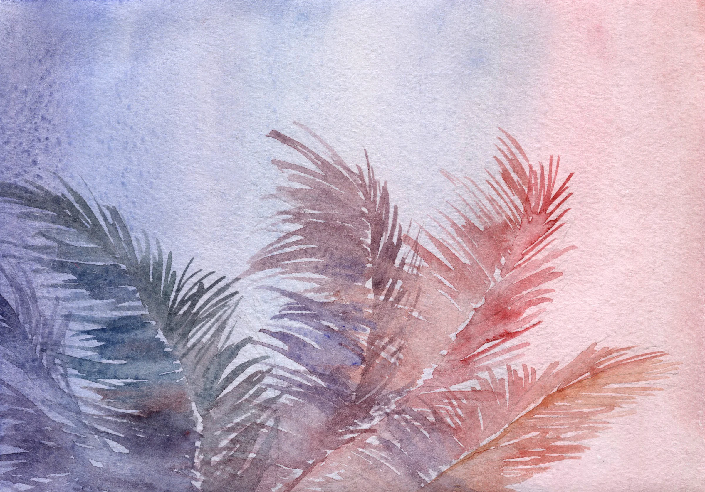 Tropical evening.jpg