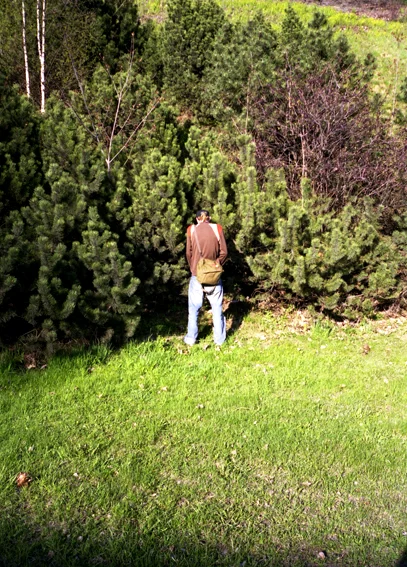 Piss, 2005.jpg