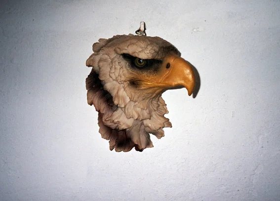 Untitled (eagle), 2007 copy.jpg