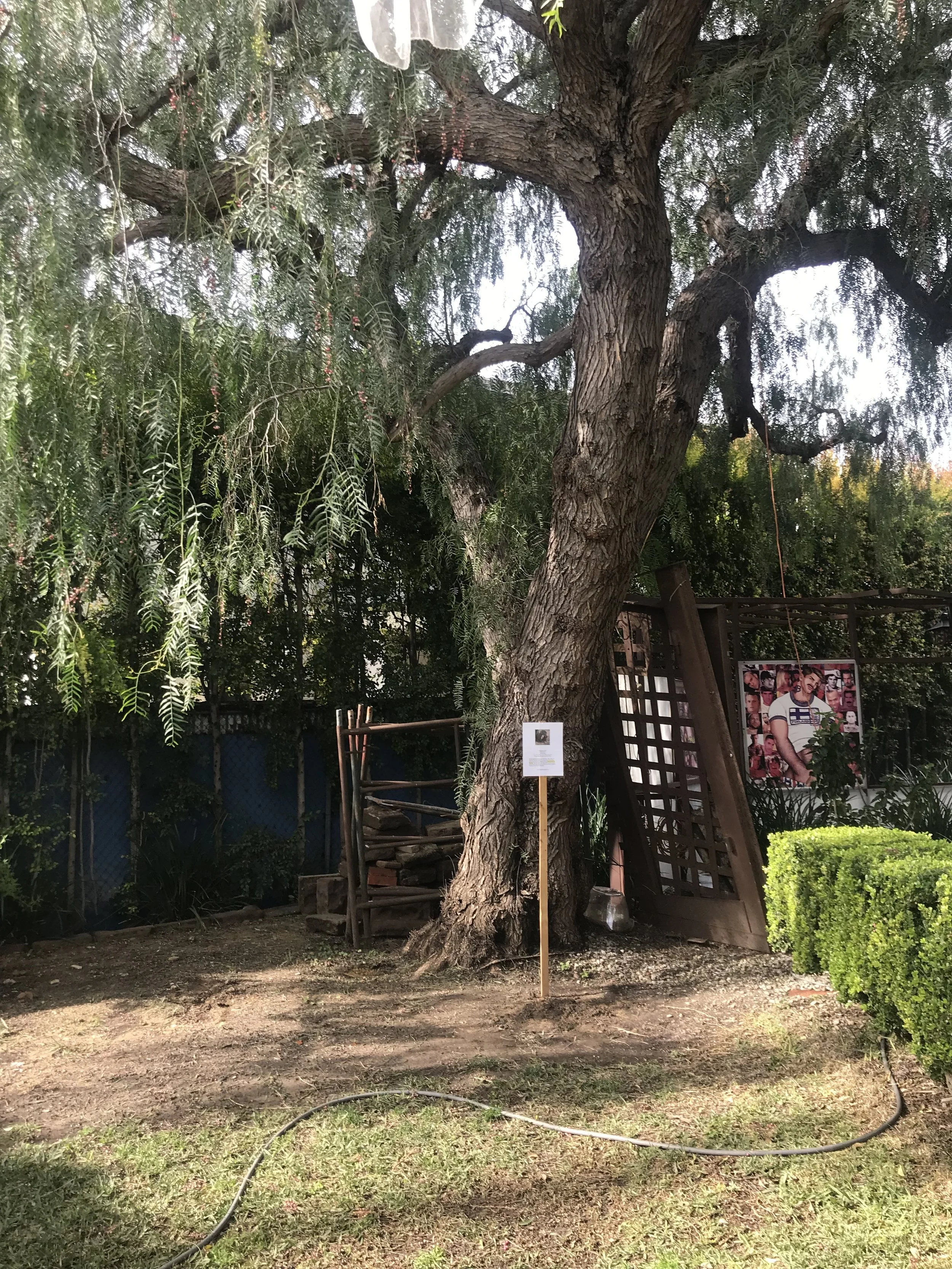 IMG_9424.jpeg