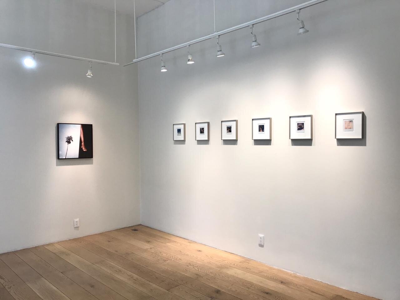 LUSH, installation view, ALMANAQUE fotográfica, November/December 2020.