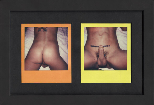 Untitled (David) diptych, 2014