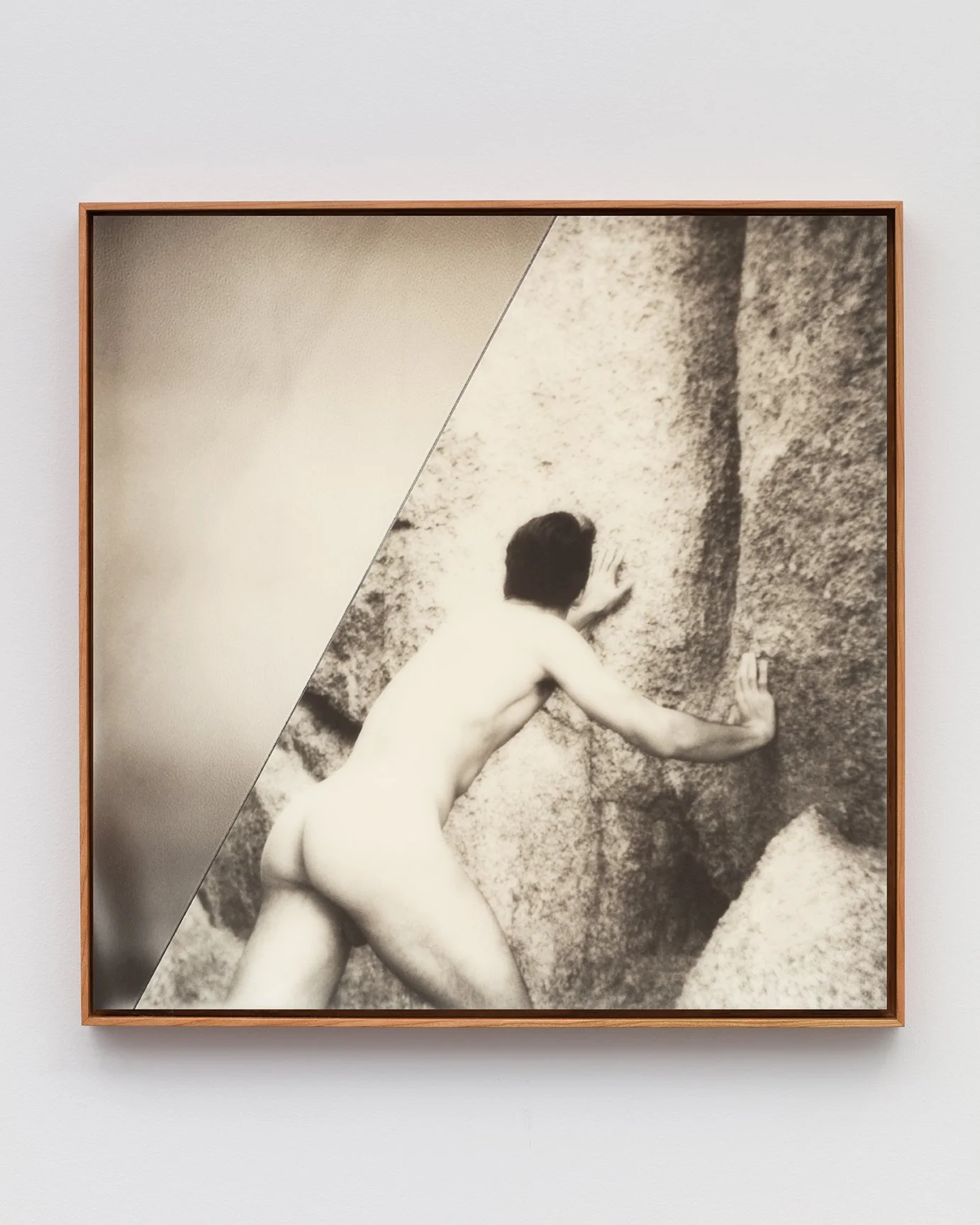 xvii-website.jpg