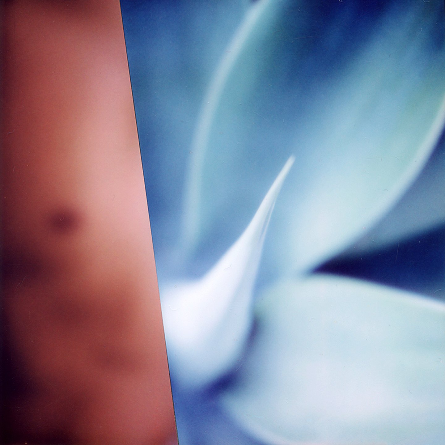 22-cropped.jpg