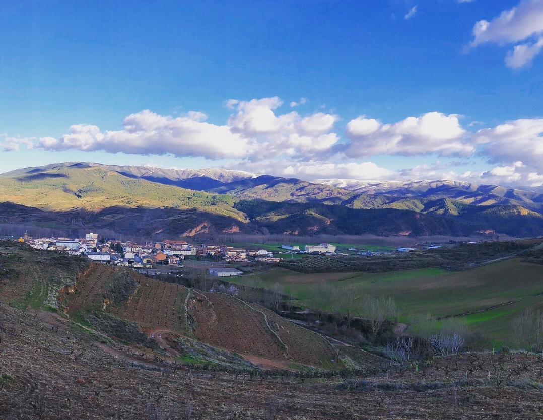 When Things Don't Go According to Plan