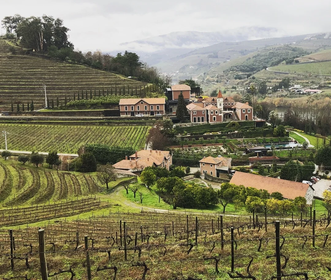 Coming To Our Senses