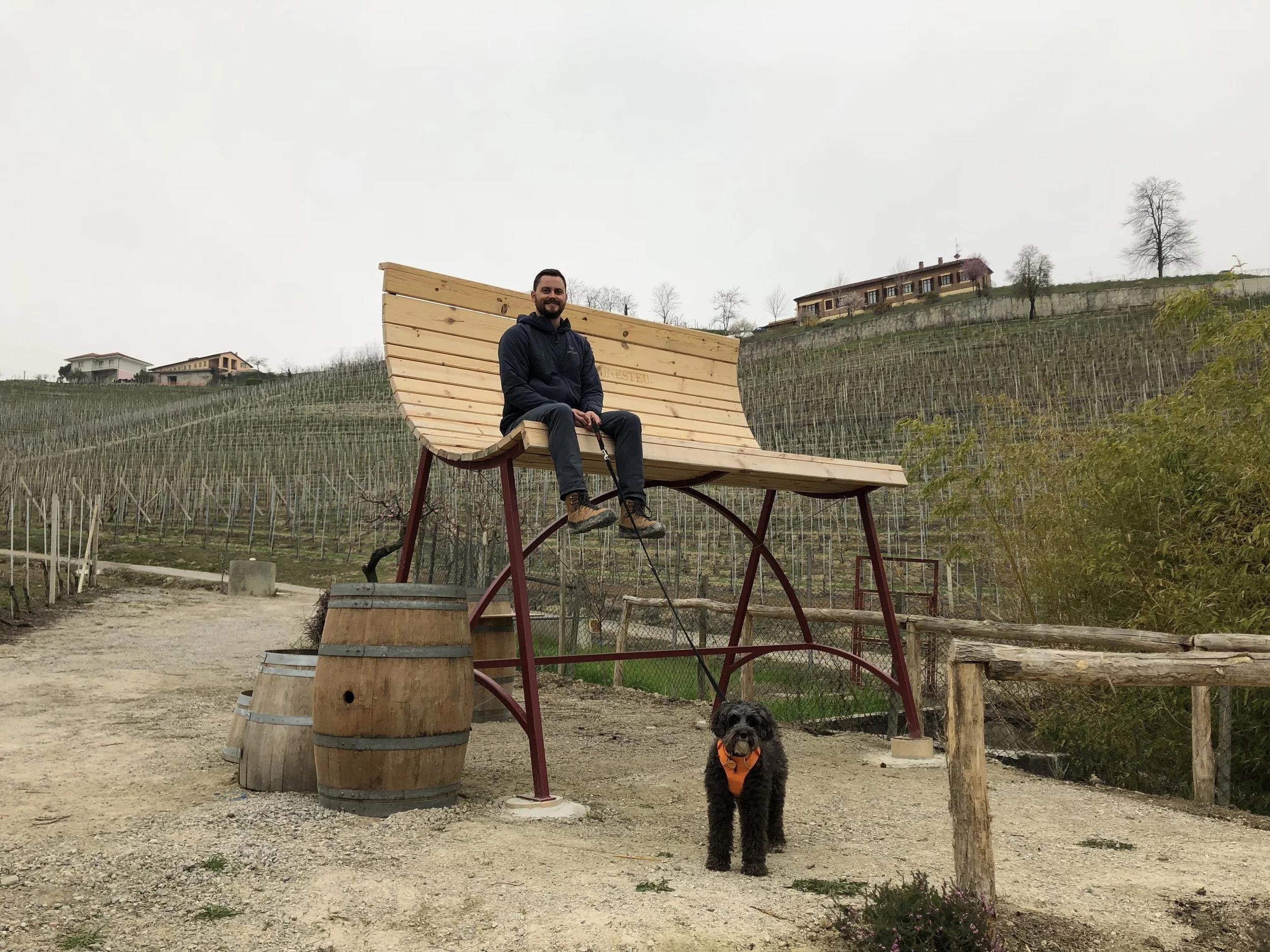 Barking in Barbaresco and Barolo