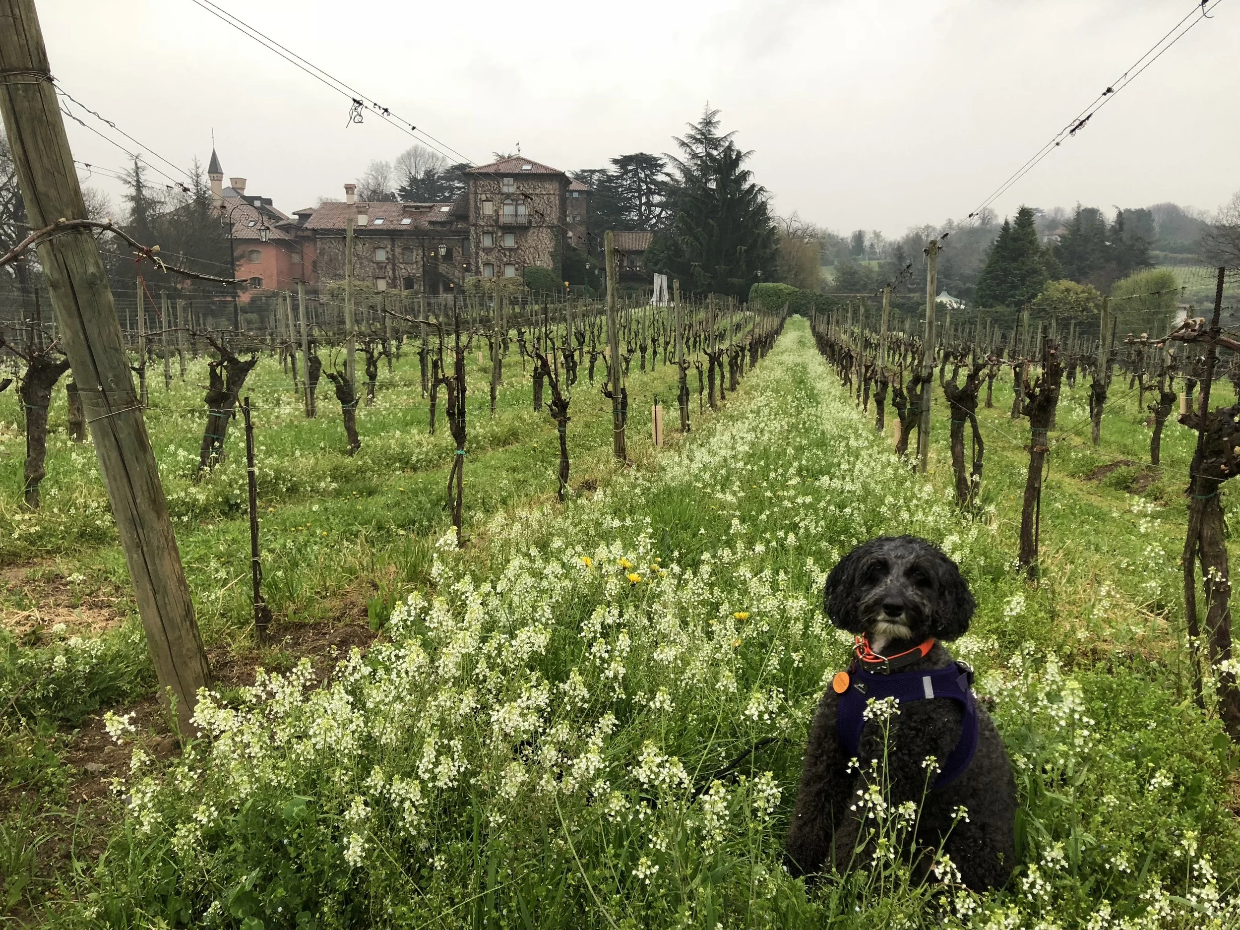 Charming Franciacorta