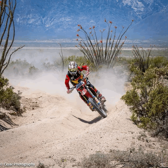 Alex Private Training