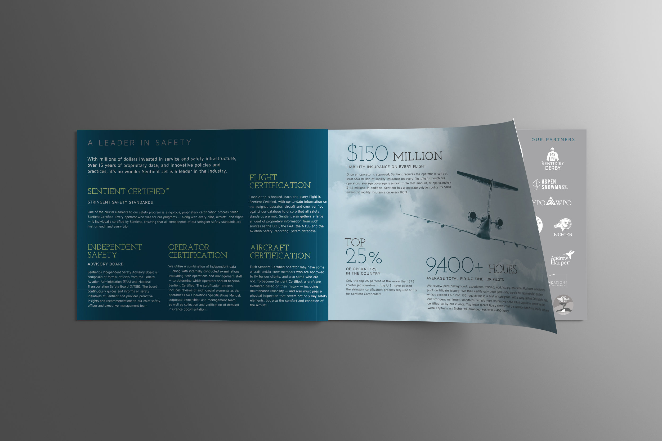 16-Sentient-SalesBrochure-mock_01.jpg