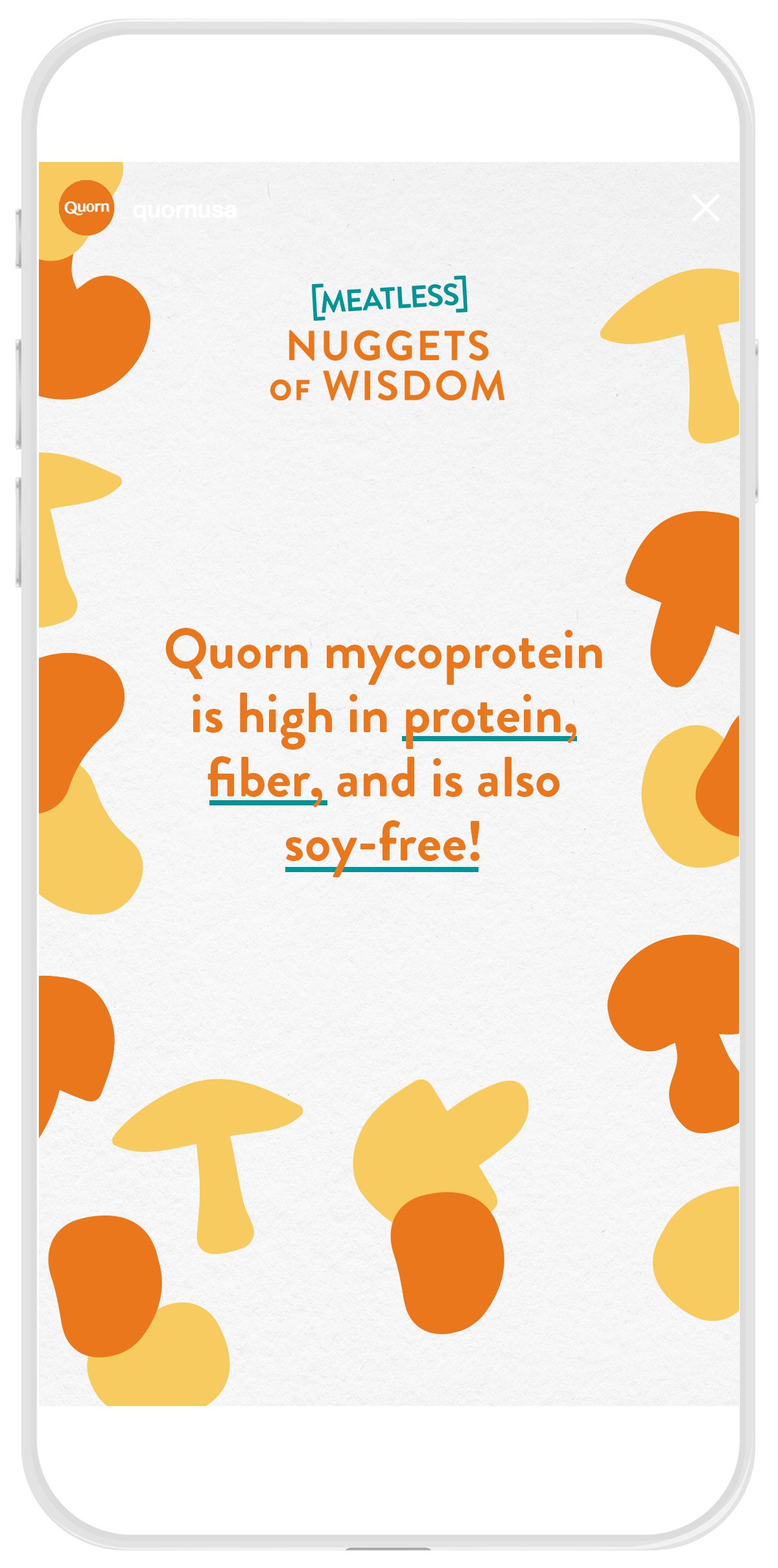 Quorn_0244_Story_NuggetsOfWisdomQuiz-2.jpg