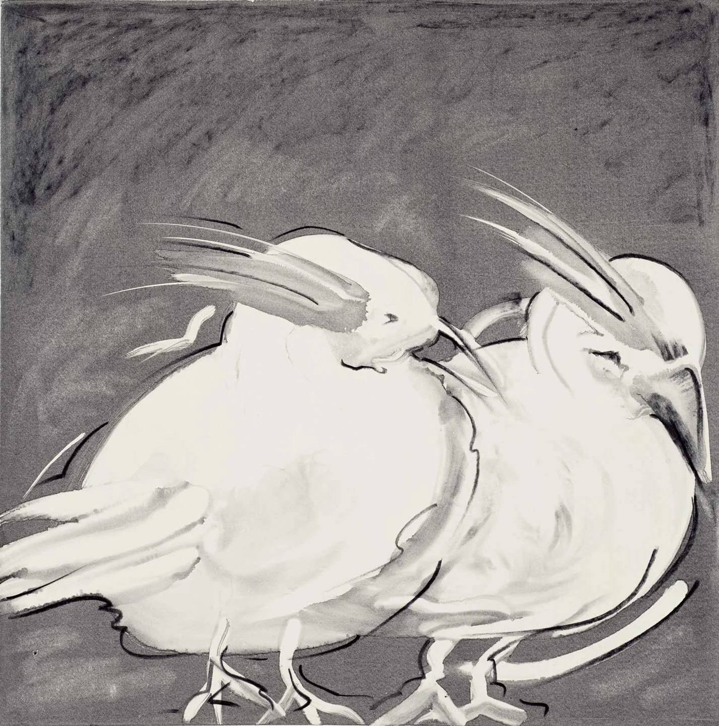 Birds-10x10-low.jpg