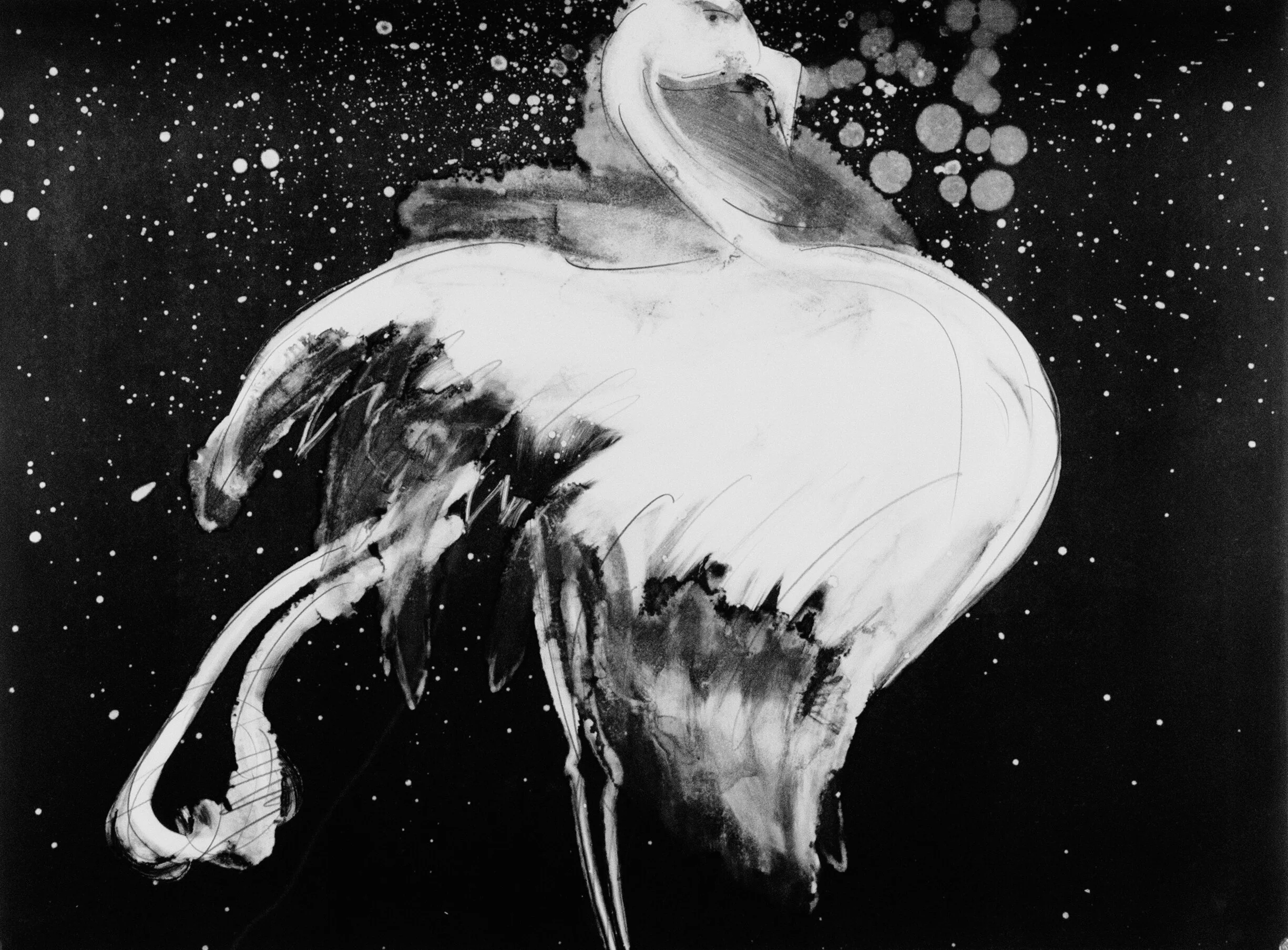 3.VFA_Cabo18x24low.jpg