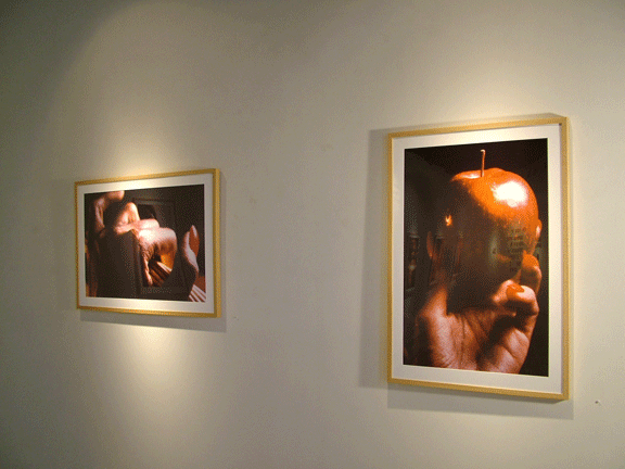 Pharmakon (installation view, Gathering and Its Apple Pies the Men Like), Dorris H. Hamilton Gallery, Salve Regina University, RI