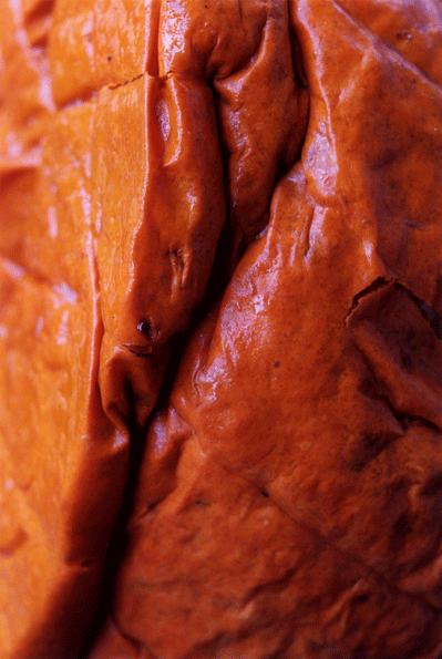 Pumpkin (Cucurbita pepo)